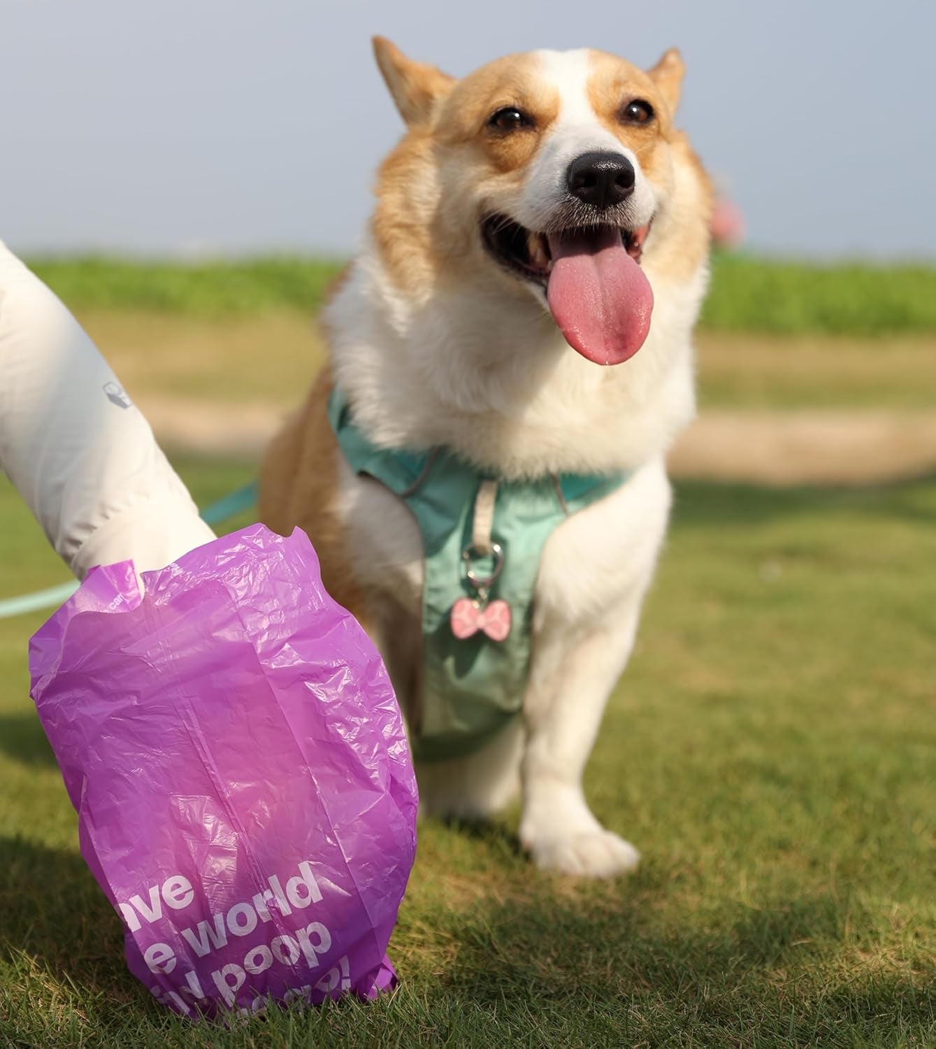 Dog Poop Bags with Handles 9 Rolls 108 Counts Big Sizes Leak Proof and Extra Thick Waste Bags Refill Rolls for Walking Small Medium Large Dogs Cats Litter with Holder Lavender Scented