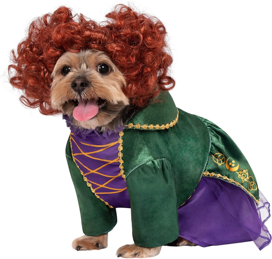 Disney Hocus Pocus: Winifred Sanderson Pet Costume for for Dogs or Cats, XL