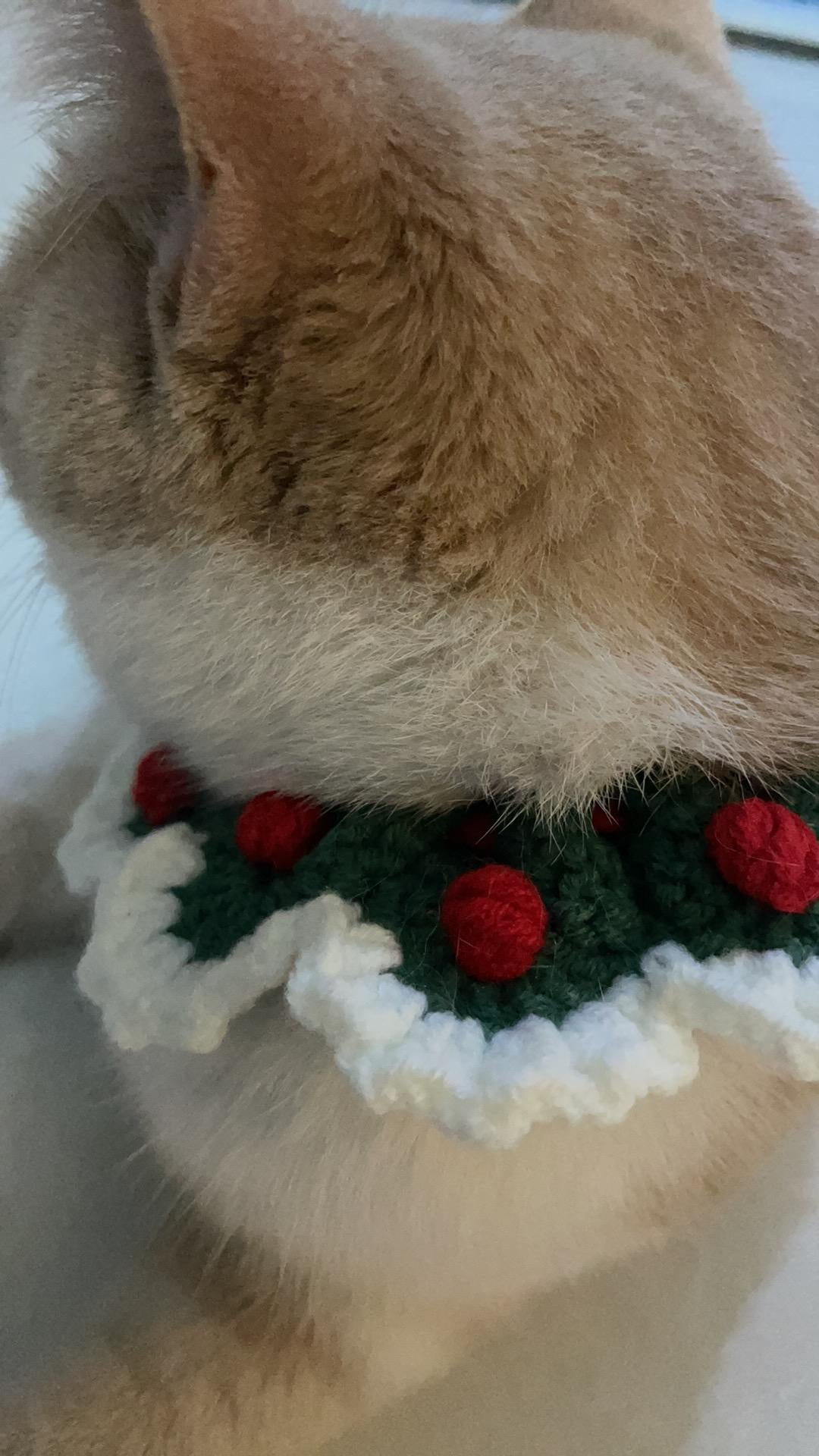 Handmade Crochet Pet Collar: Adjustable Green Cat & Dog Costume