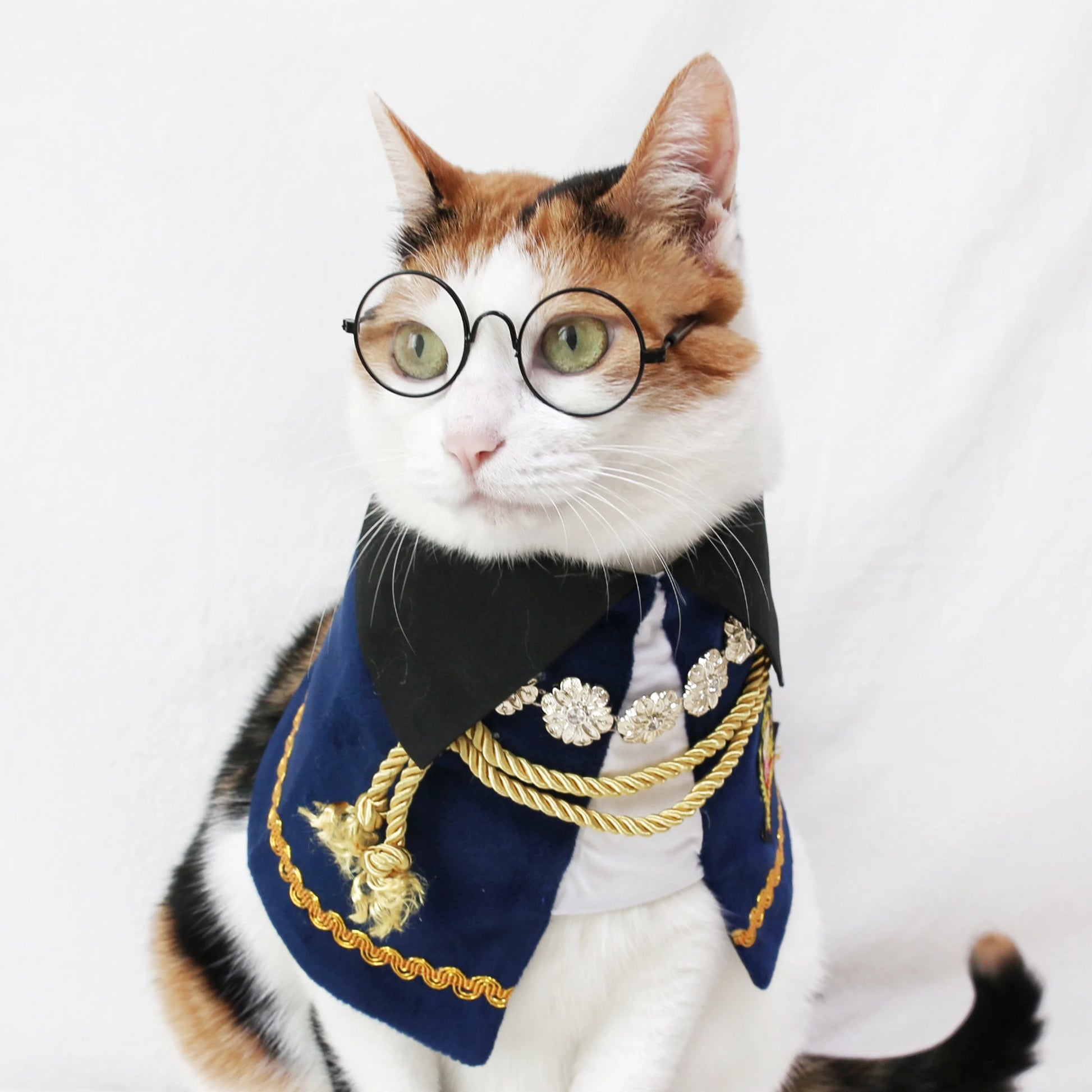 Royal Prince Pet Costume: Cat Dog Count Cape - Halloween Christmas