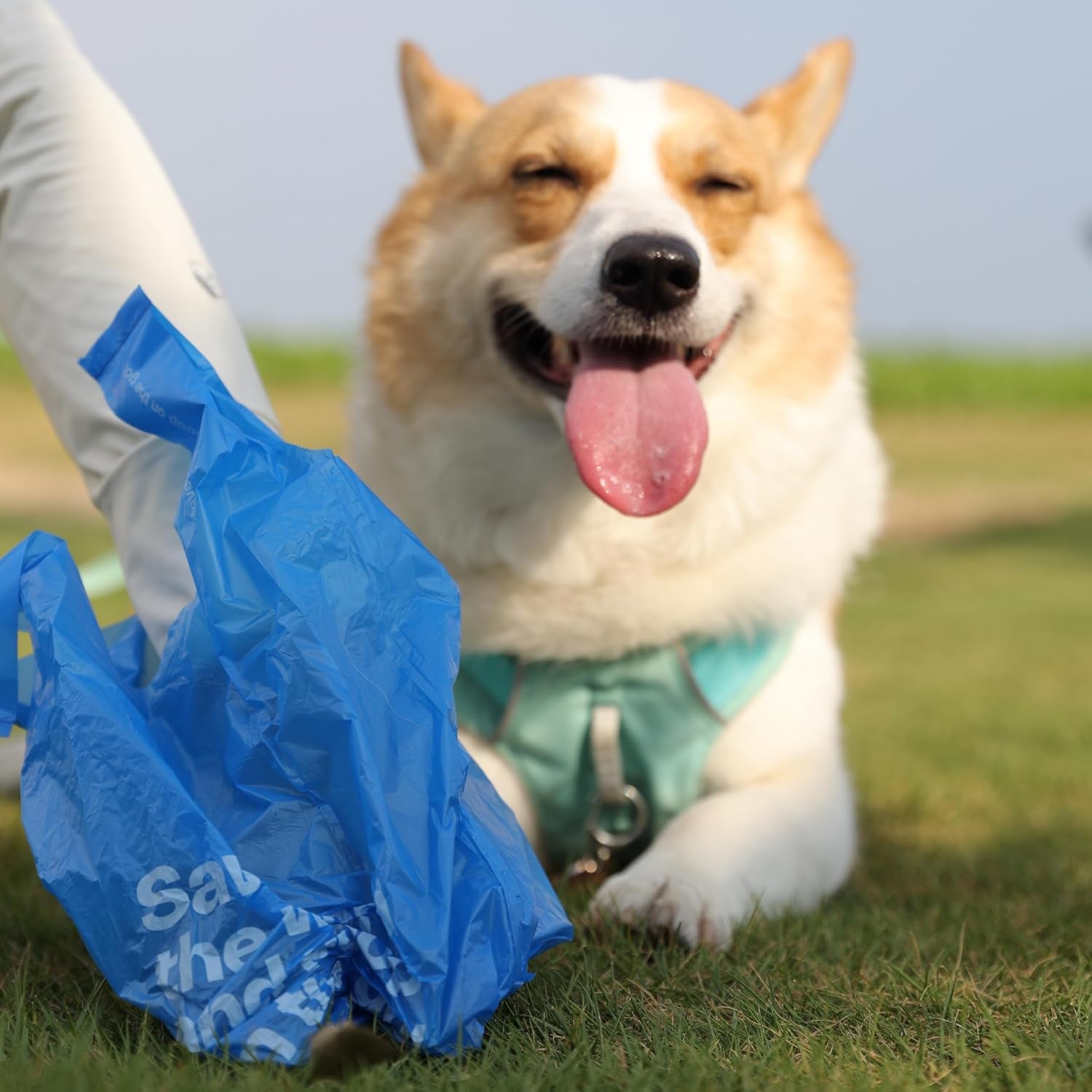 Dog Poop Bags with Handles 30 Rolls 360 Counts Big Sizes Leak Proof and Extra Thick Waste Bags Refill Rolls for Walking Small Medium Large Dogs Cats Litter Iris Scented