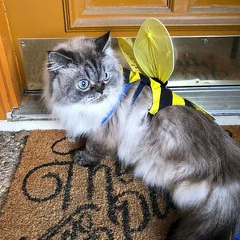 DOG COSTUME. "Bumble Bee" Dog Costume, Halloween for Pets,