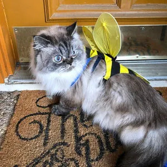 DOG COSTUME. "Bumble Bee" Dog Costume, Halloween for Pets,