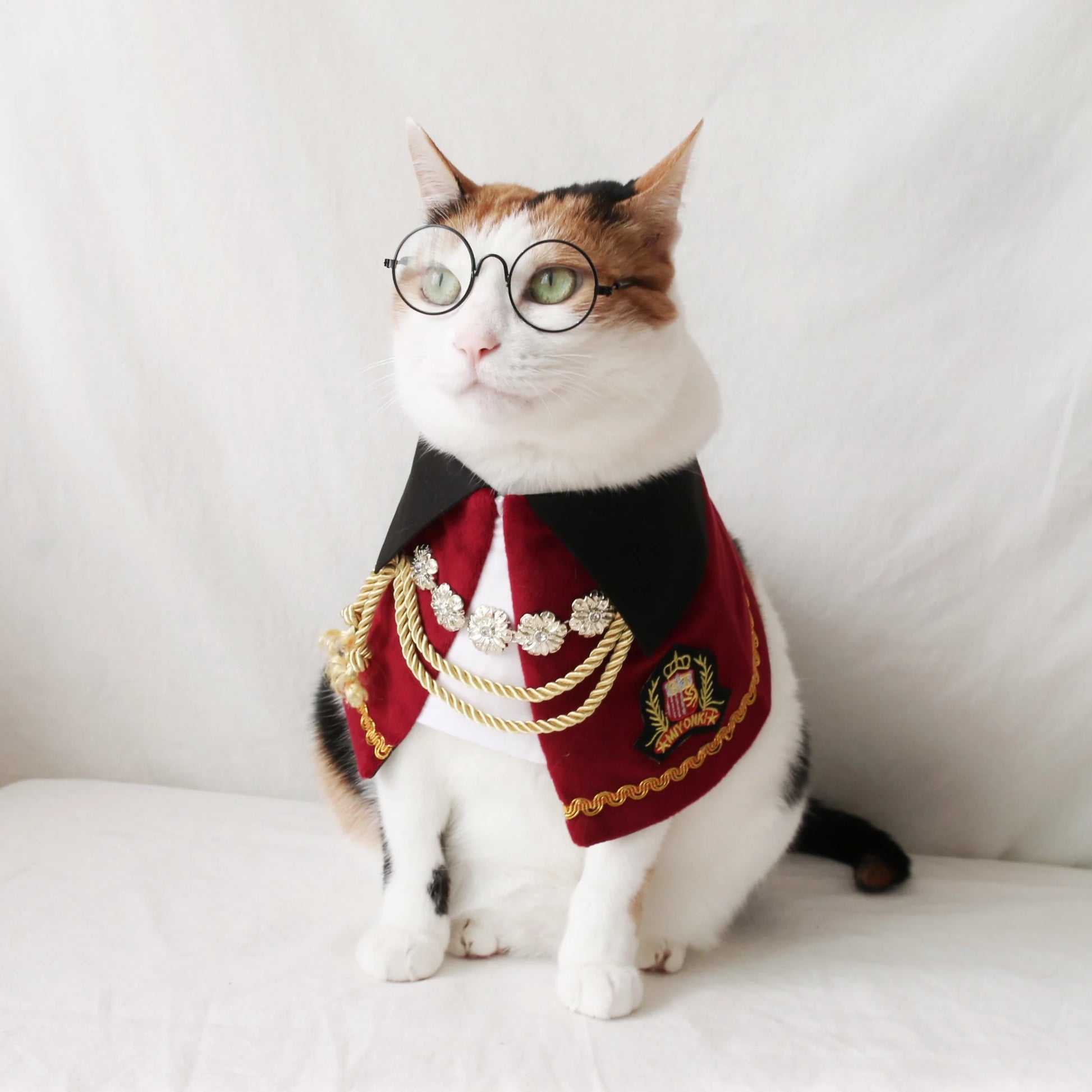 Royal Prince Pet Costume: Cat Dog Count Cape - Halloween Christmas