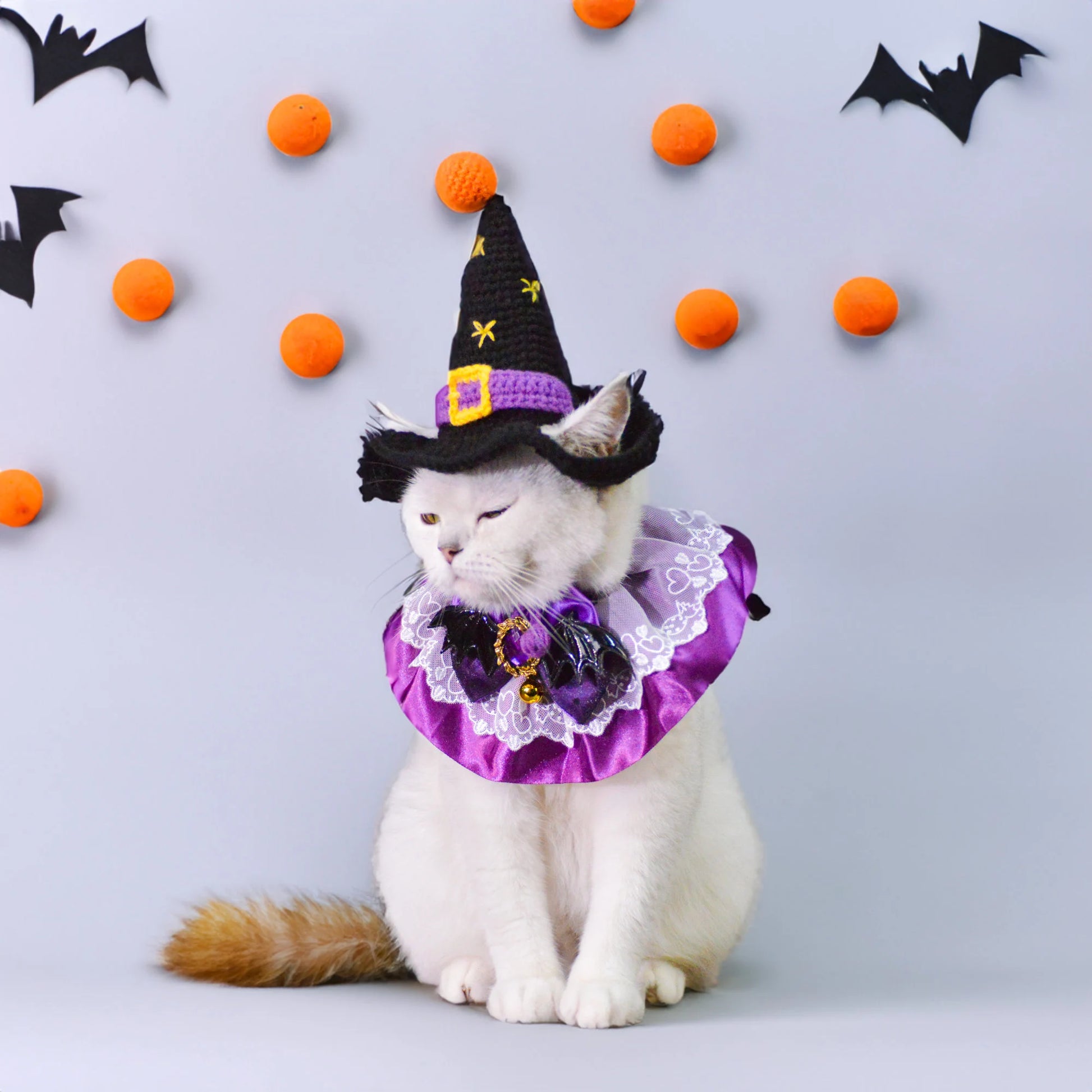 Enchanting Christmas Pet Costume Set - Witch Hat and Purple Queen Collarcat Hat Halloween|Cat Hat Halloween|Knit Cat Hats