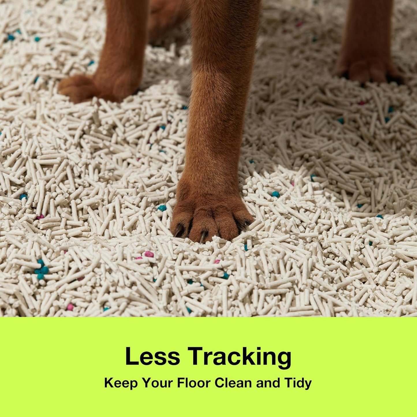 Tofu Cat Litter - Strong Clumping, Dust Free, Low Tracking, Flushable, Water Absorbent - Cactus (5.5Lb X 1Bag)