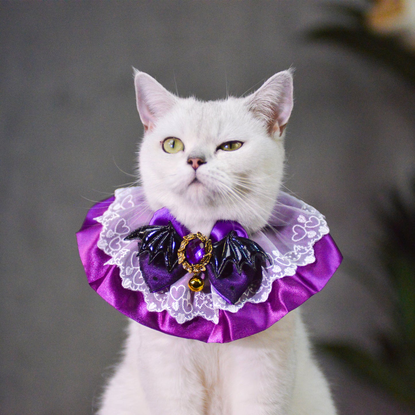 Enchanting Christmas Pet Costume Set - Witch Hat and Purple Queen Collarcat Hat Halloween|Cat Hat Halloween|Knit Cat Hats