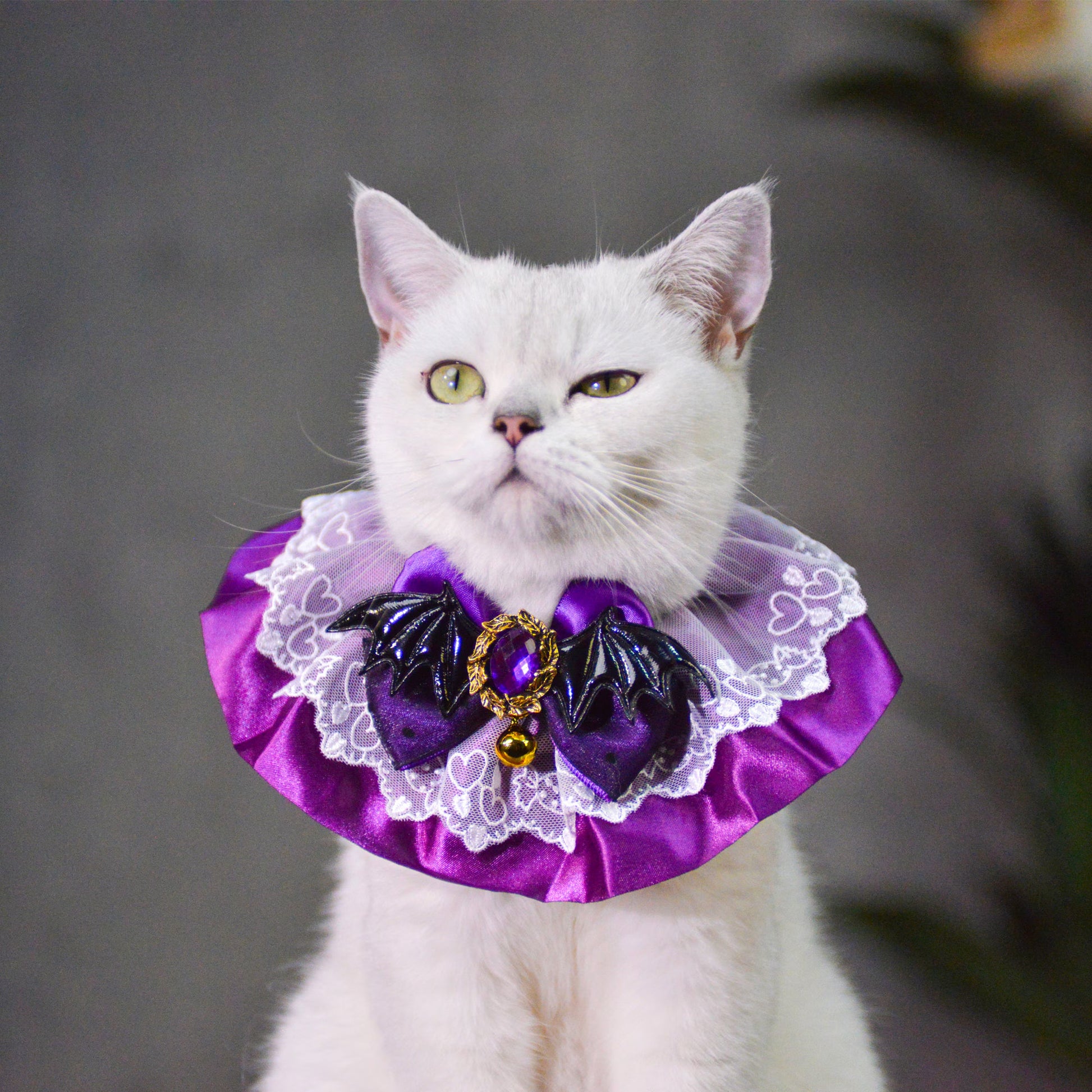 Enchanting Christmas Pet Costume Set - Witch Hat and Purple Queen Collarcat Hat Halloween|Cat Hat Halloween|Knit Cat Hats