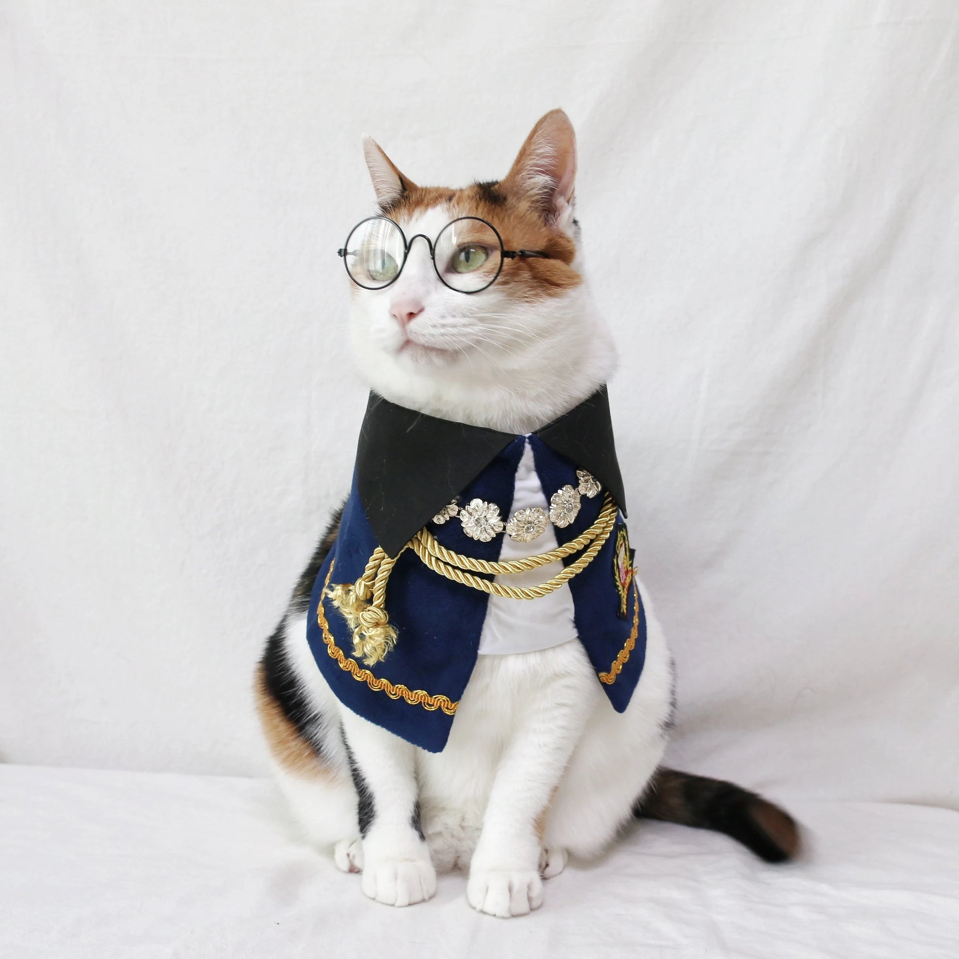 Royal Prince Pet Costume: Cat Dog Count Cape - Halloween Christmas