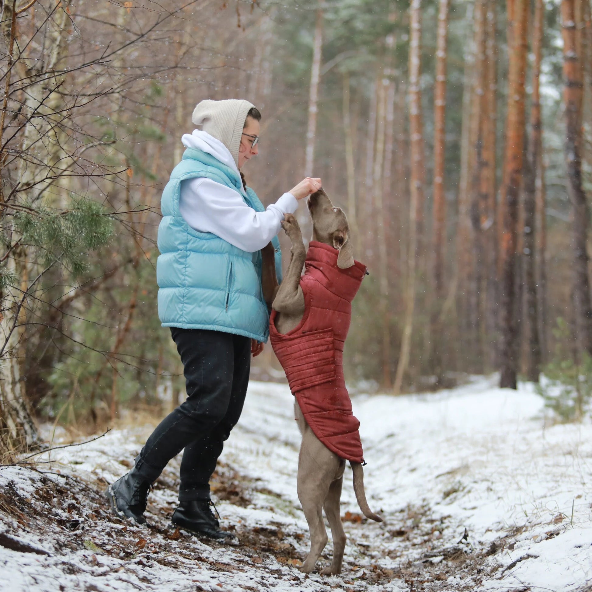 Warm Winter Coat for Dogs - Waterproof and Windproof Winter Jacket for Dogs - Stylish Pet Clothes - Pet Clothes - Dog Lover - Gift for Dogs