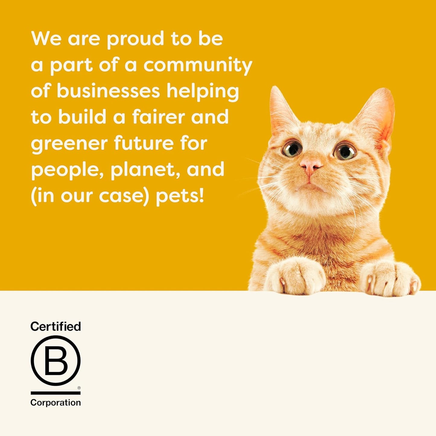 Complete Dry Cat Food, Grain-Free, Limited Ingredient with Added Vitamins & Minerals, Protein, Supports Digestion, Chicken & Salmon (11 Pound Bag)