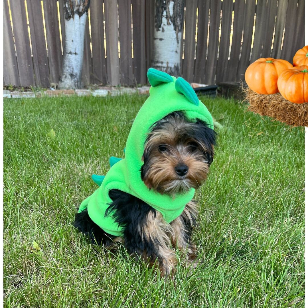 Dinosaur Dog or Cat Costume, Handmade Fleece Halloween Pet Dress-Up, Festive Dog Halloween Outfit