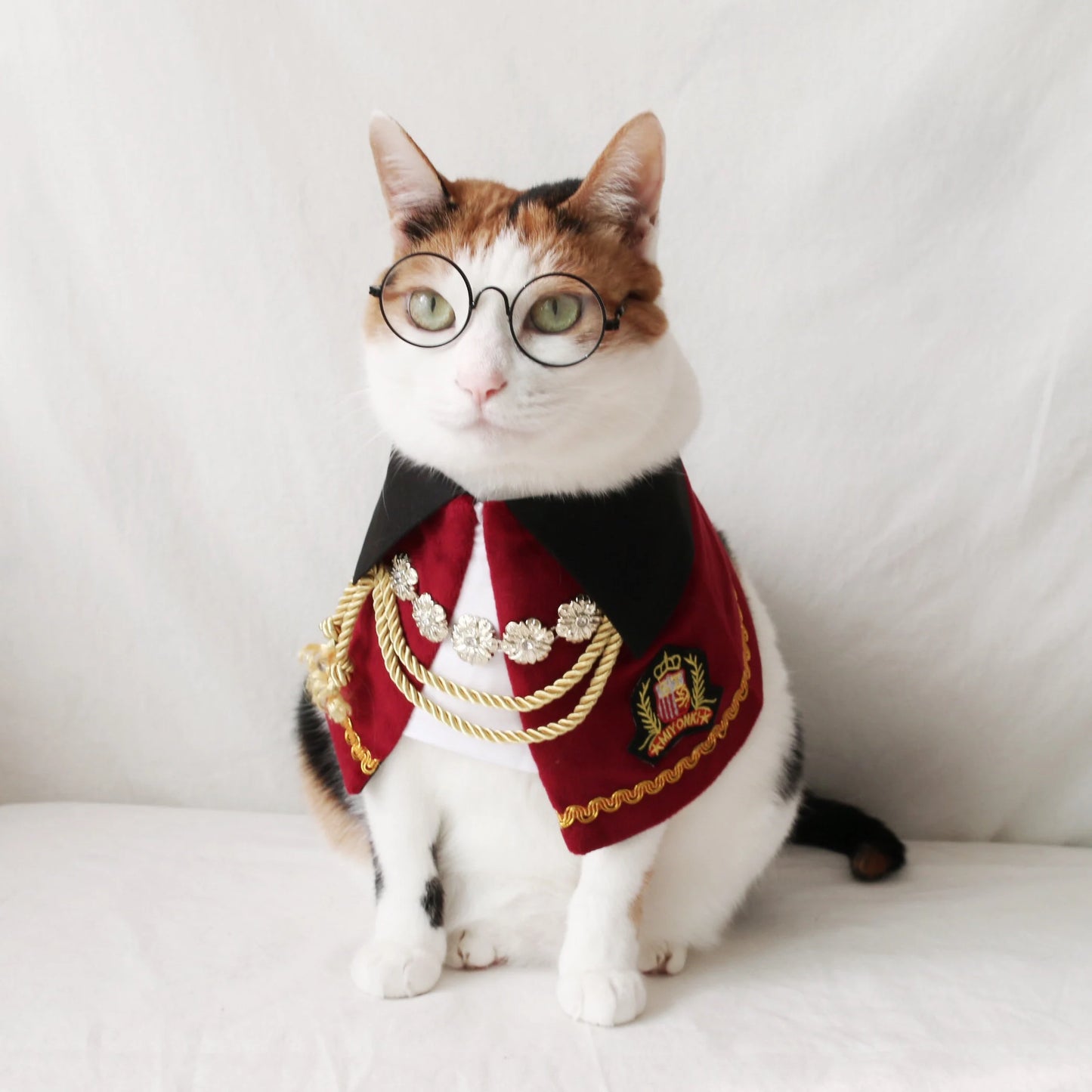 Royal Prince Pet Costume: Cat Dog Count Cape - Halloween Christmas