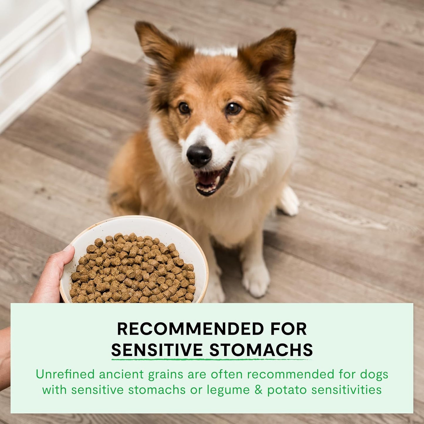 , Ancient Grains Dry Dog Food, Protein-Rich & Nutrient Dense, 90% Animal Protein Mixed with Non-Gmo Fruits, Veggies and Superfoods, Farmer'S Table Pork Recipe, 22Lb Bag