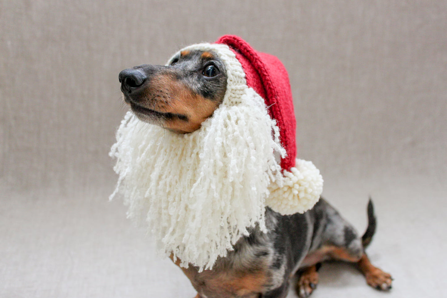 Santa Beard Dog Hat Costume in Vintage Christmas Style