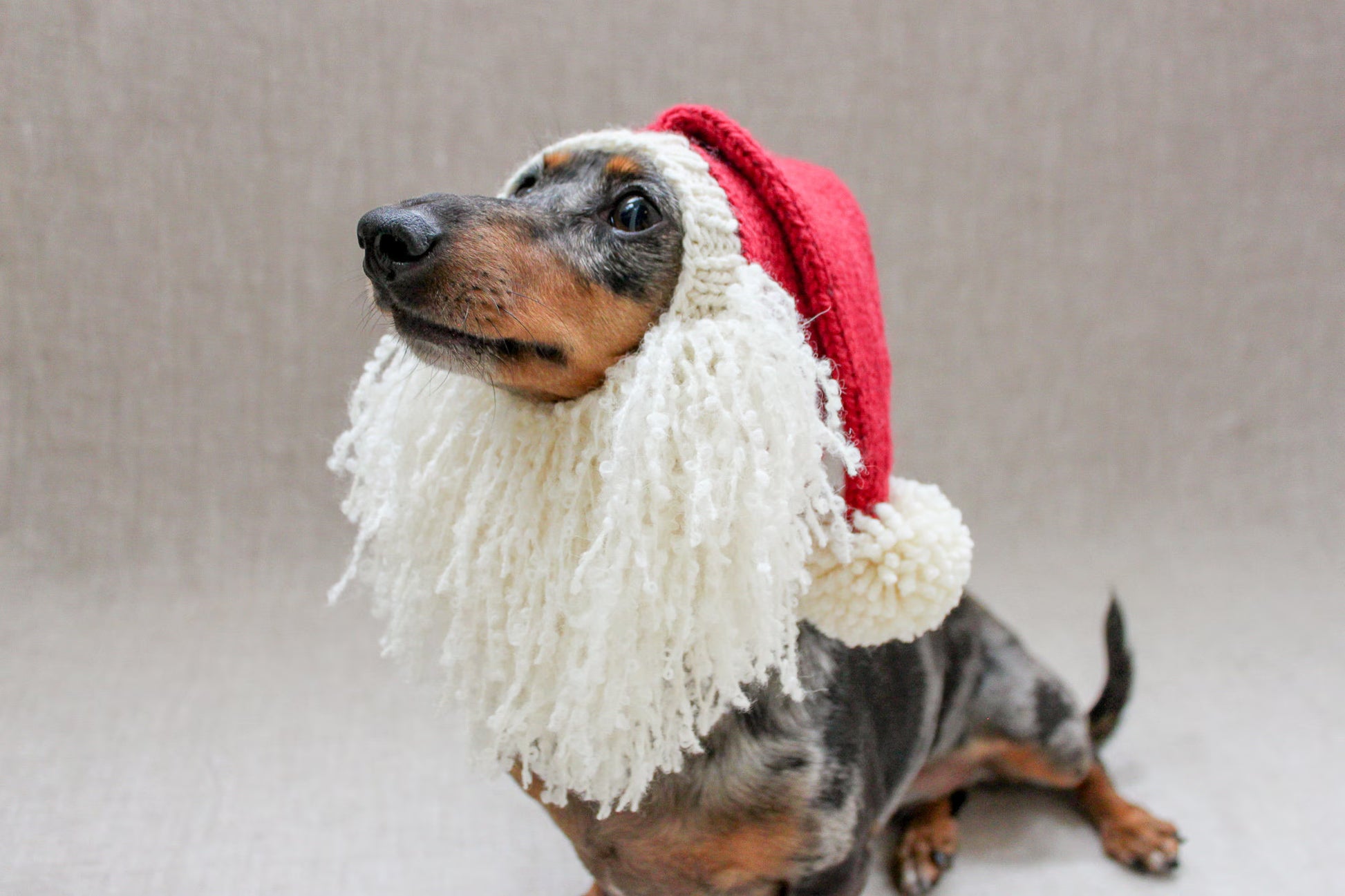 Santa Beard Dog Hat Costume in Vintage Christmas Style