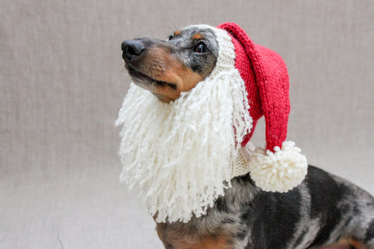 Santa Beard Dog Hat Costume in Vintage Christmas Style