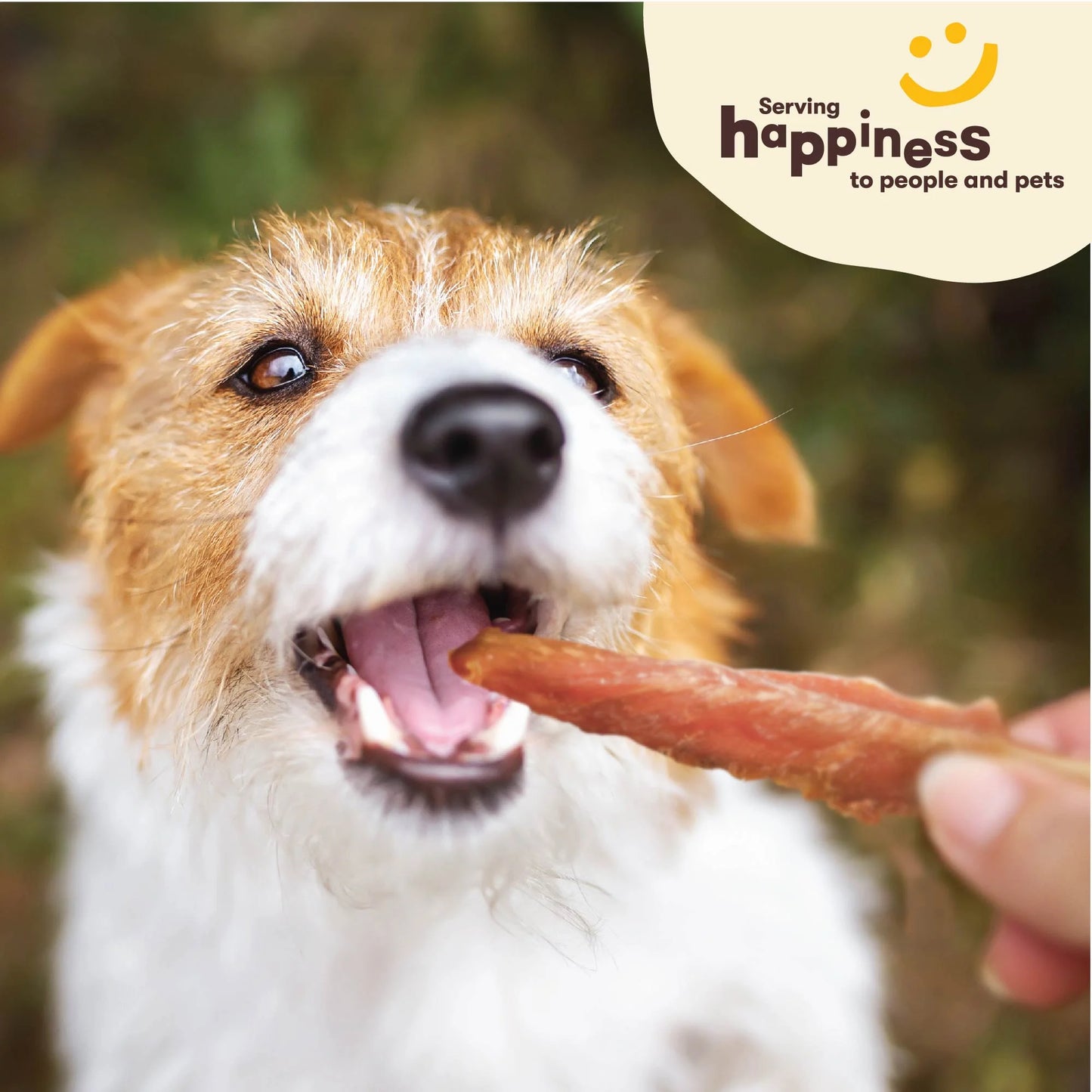 Chik 'N Skewers - Chicken Wrapped Rawhide Chew Dog Treats - 1 Pound