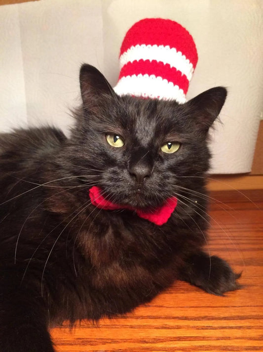 Dr. Seuss, Seuss, Hats for Cats, Cat Costumes, Pet Costumes, Cat Hat, Cat Accessories, Cats, Cat Photo Prop, Crocheted