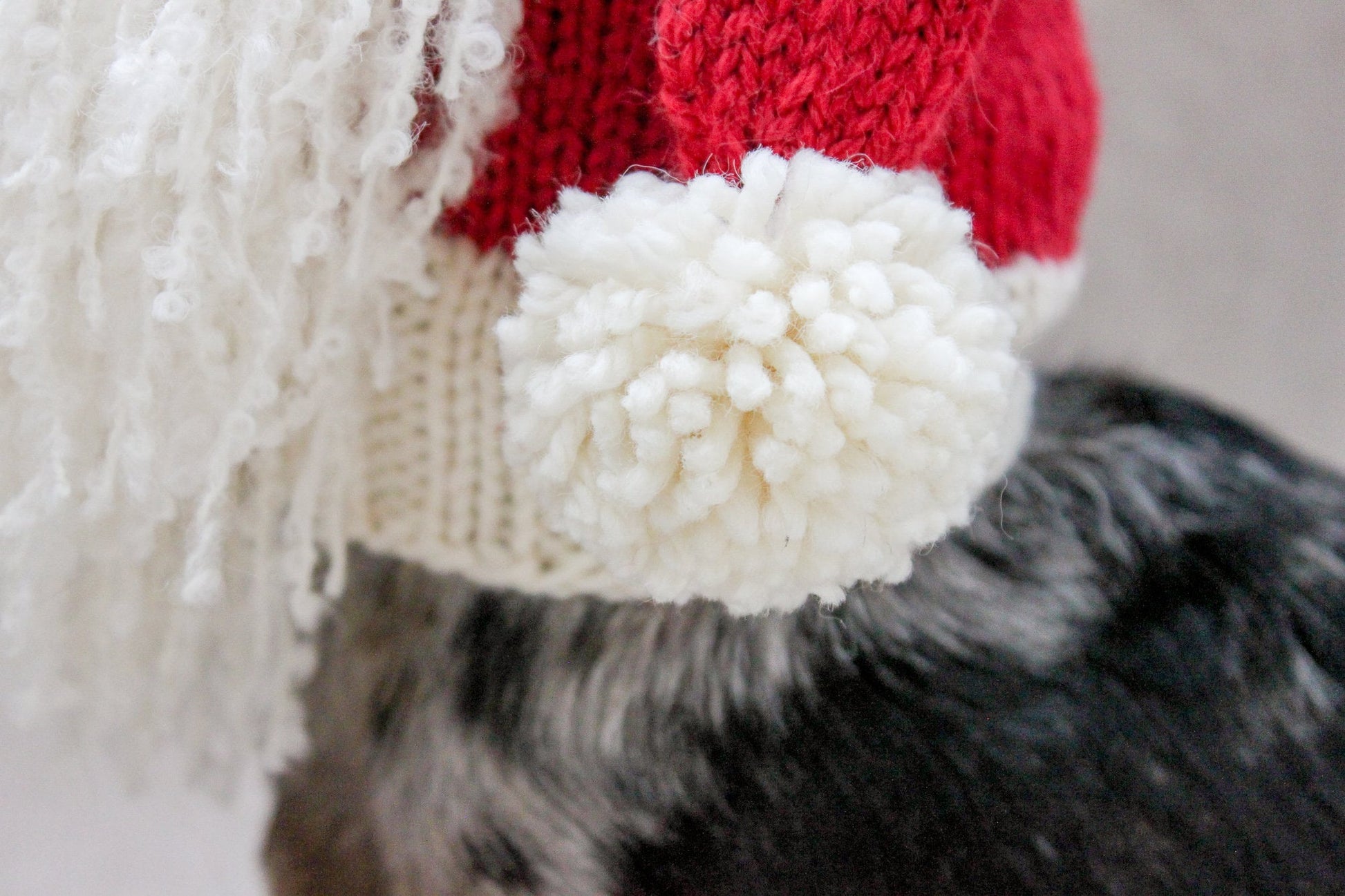 Santa Beard Dog Hat Costume in Vintage Christmas Style