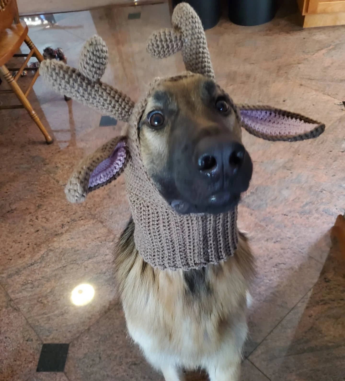 Reindeer Costume for Dogs