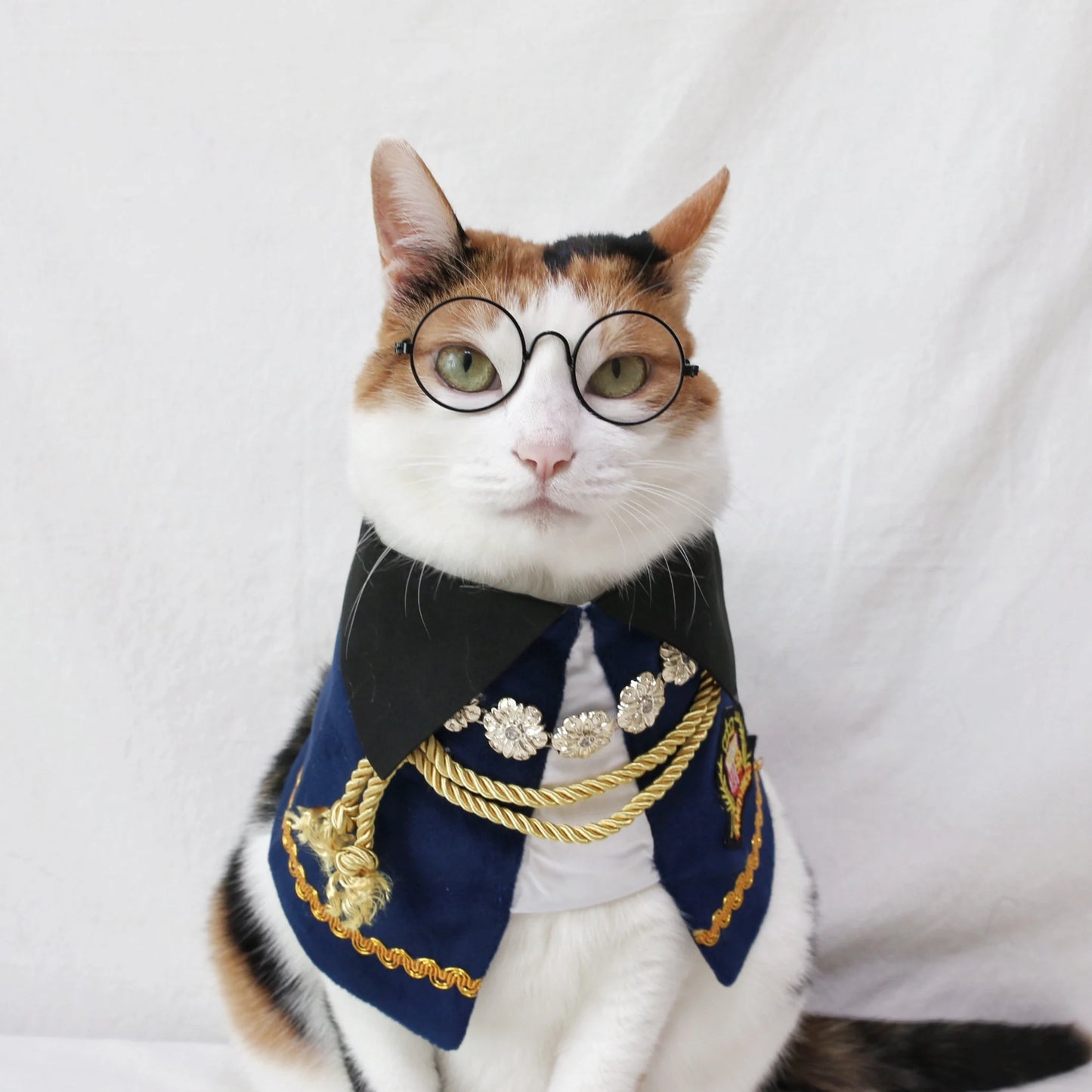 Royal Prince Pet Costume: Cat Dog Count Cape - Halloween Christmas