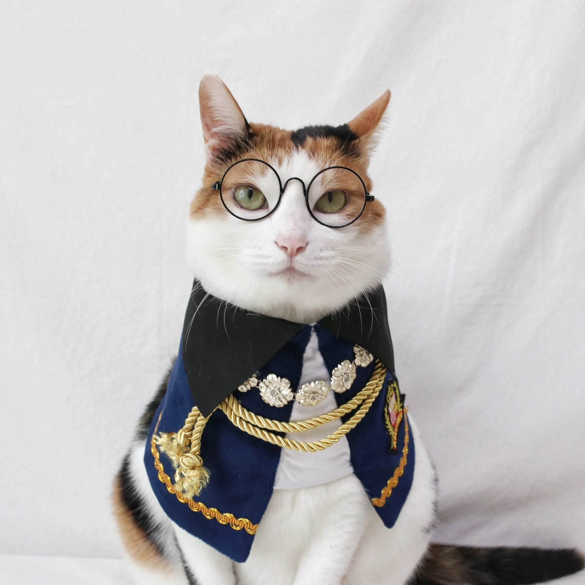 Royal Prince Pet Costume: Cat Dog Count Cape - Halloween Christmas