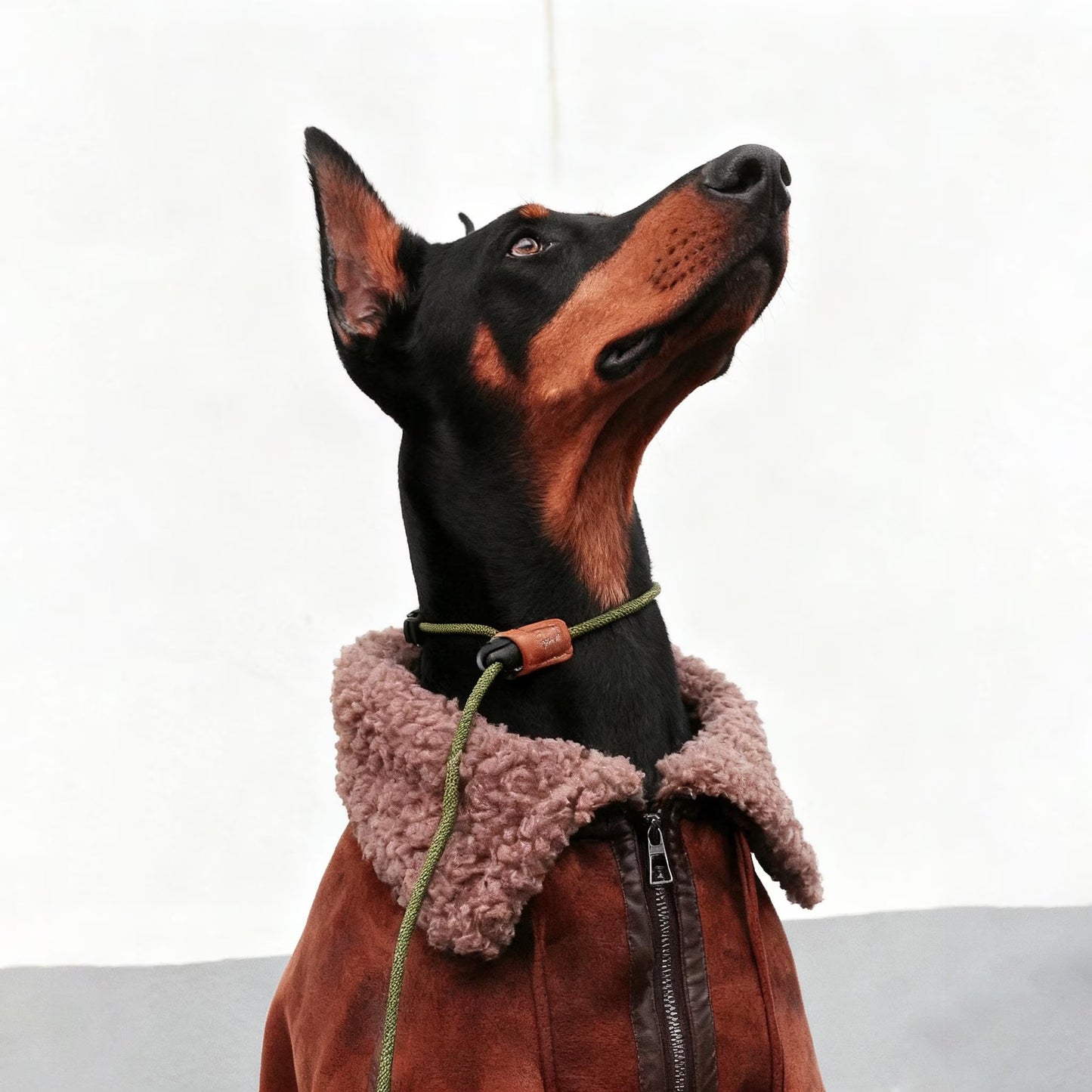 Dog Jacket for Large Breeds, Warm Winter Dog Apparel, Stylish Pet Outerwear