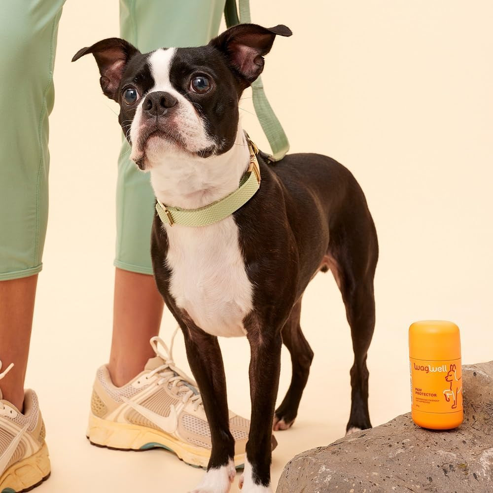 Paw Protector - Vet-Approved & Microbiome-Friendly Dog Paw Pad & Nose Balm Made from Natural Ingredients to Hydrate, Condition & Protect Pet Paws