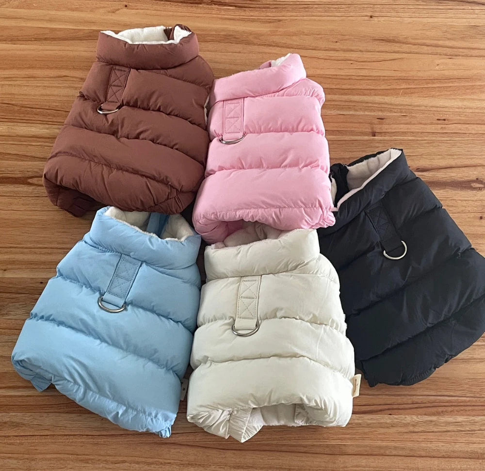 D-Ring Puffer Jacket, S-2XL, Winter Jacket, Small Dog Clothes, Dog Jacket, Dog Fashion, Dog Apparel, Pet Clothing