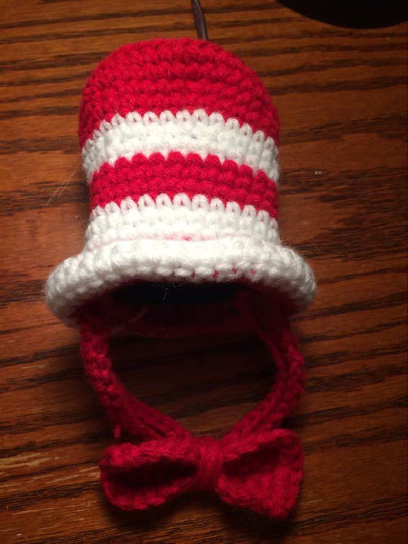 Dr. Seuss, Seuss, Hats for Cats, Cat Costumes, Pet Costumes, Cat Hat, Cat Accessories, Cats, Cat Photo Prop, Crocheted