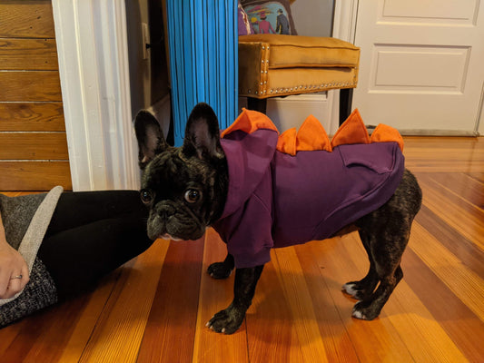 Dog Dino Hoodie ( Size Chart in the Listing. before Ordering, Measure Your Dog According to My Chart)