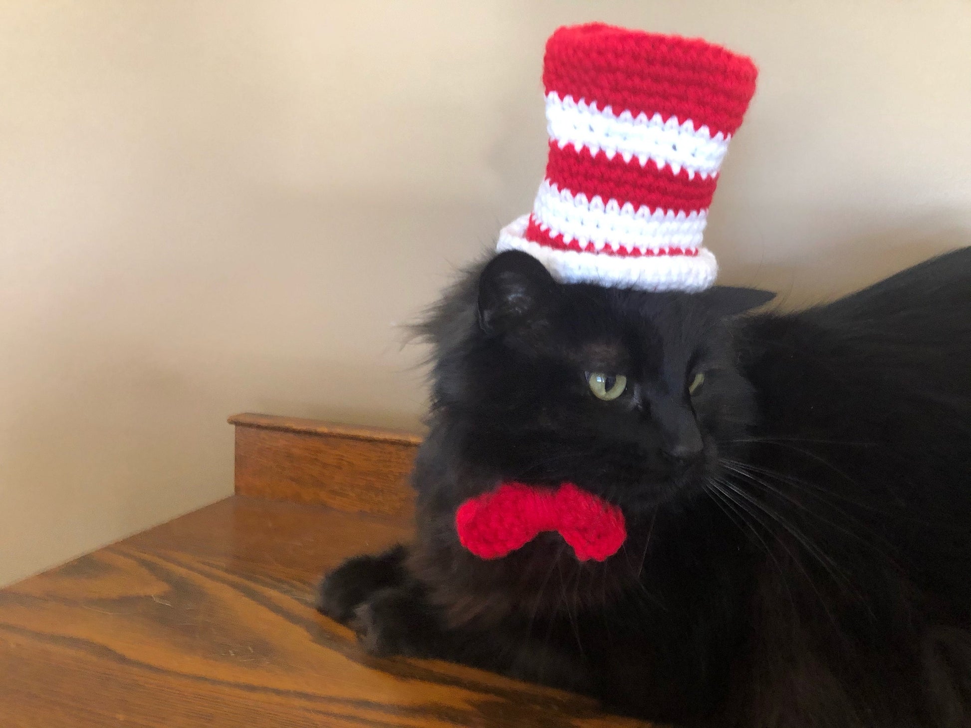 Dr. Seuss, Seuss, Hats for Cats, Cat Costumes, Pet Costumes, Cat Hat, Cat Accessories, Cats, Cat Photo Prop, Crocheted