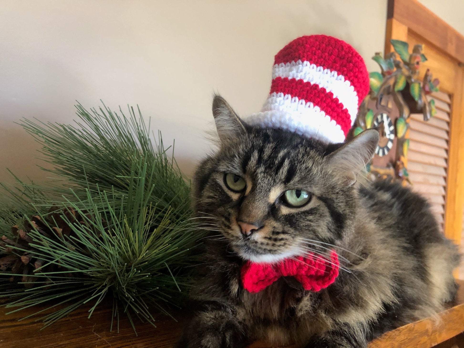 Dr. Seuss, Seuss, Hats for Cats, Cat Costumes, Pet Costumes, Cat Hat, Cat Accessories, Cats, Cat Photo Prop, Crocheted