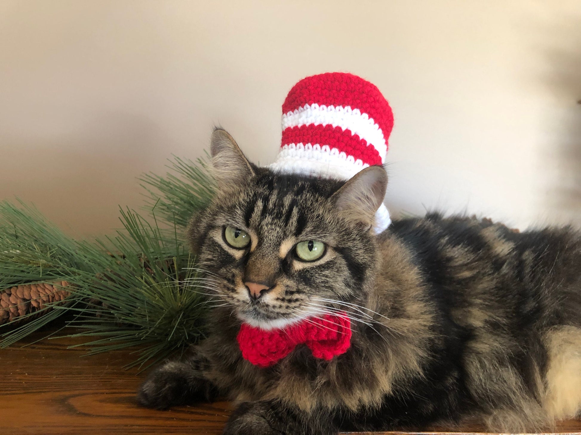 Dr. Seuss, Seuss, Hats for Cats, Cat Costumes, Pet Costumes, Cat Hat, Cat Accessories, Cats, Cat Photo Prop, Crocheted
