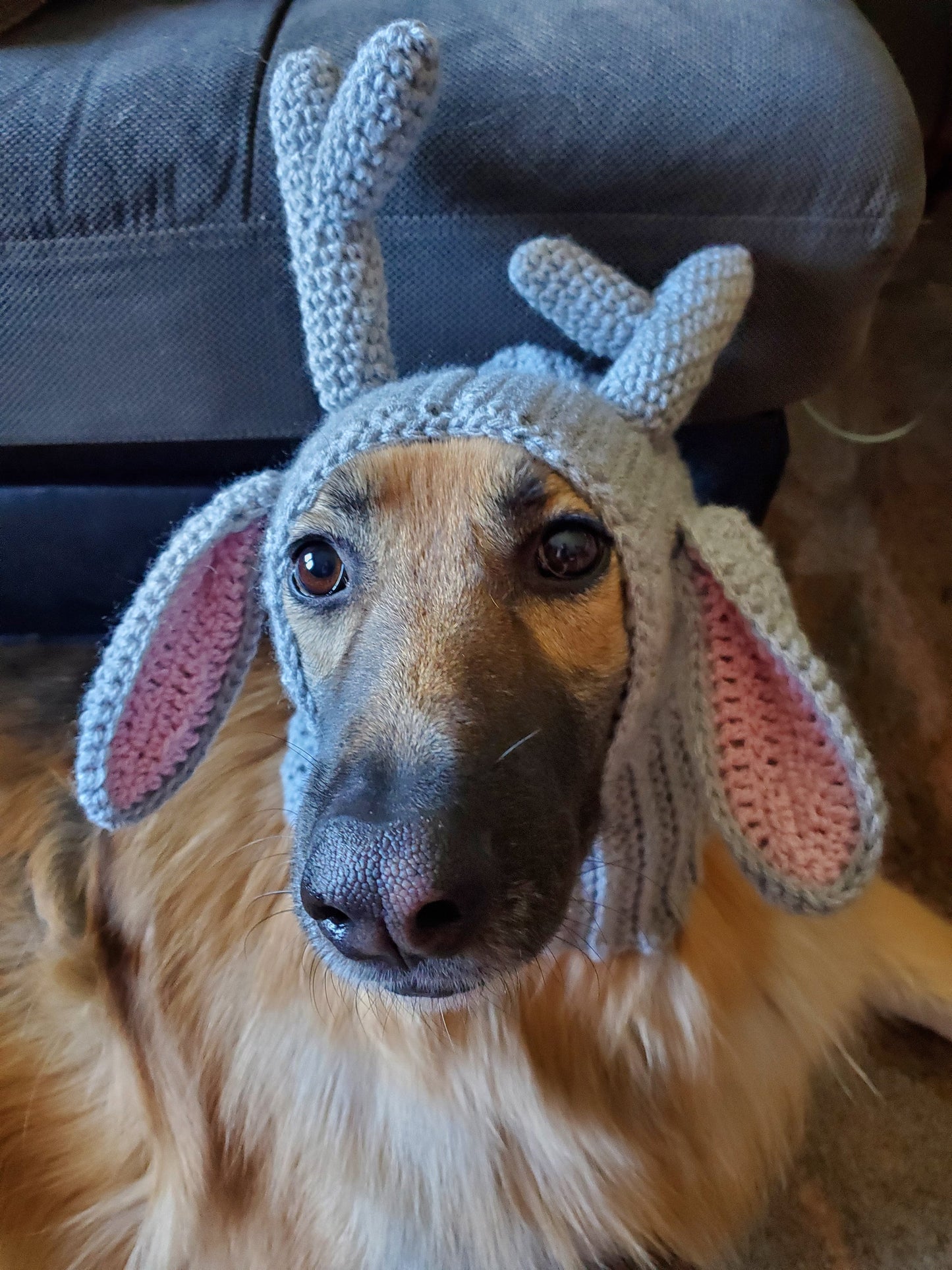 Reindeer Costume for Dogs