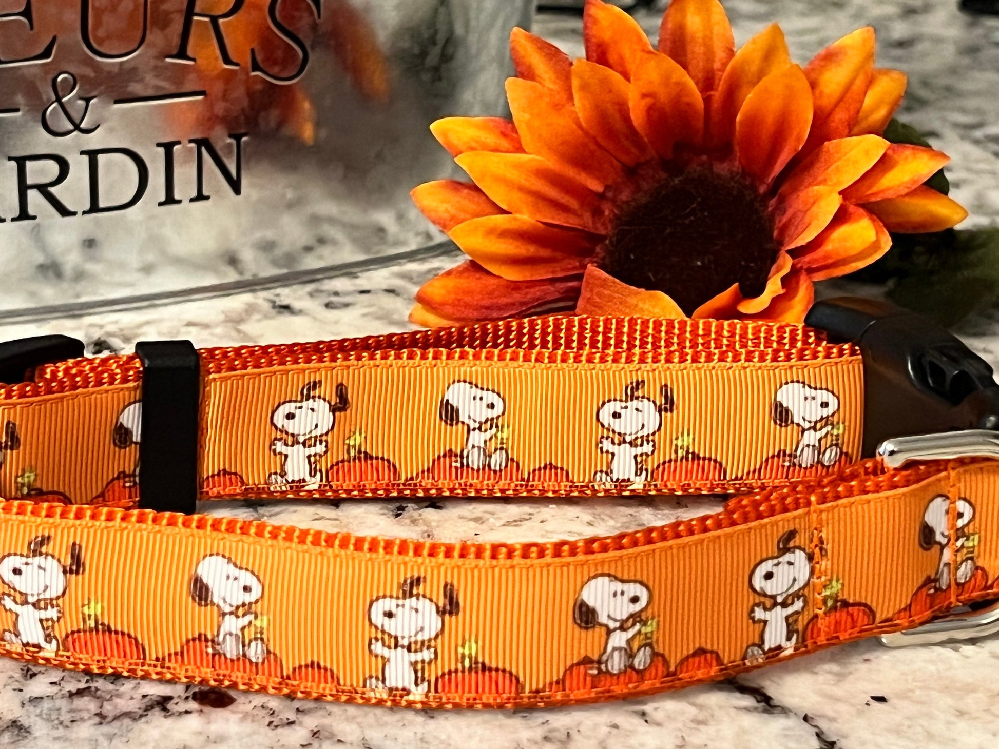 White Beagle Fall Dog Collar: Pumpkin Patch Design, Handmade
