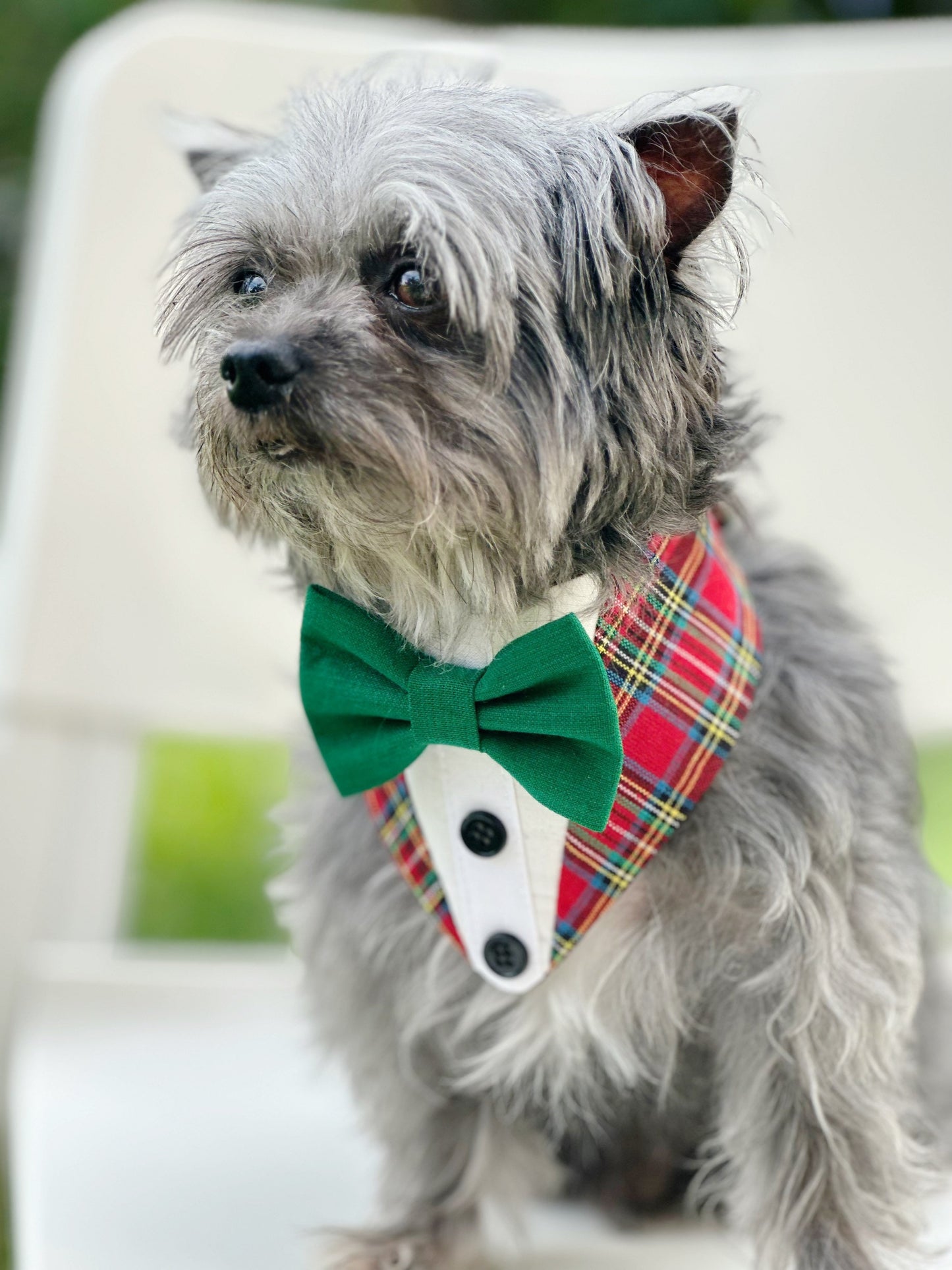 Tuxedo Dog Bandana, Christmas Bandana with Bowtie, Velvet Bowtie, Dog Bandana with Snaps, Pet Scarf Gift,