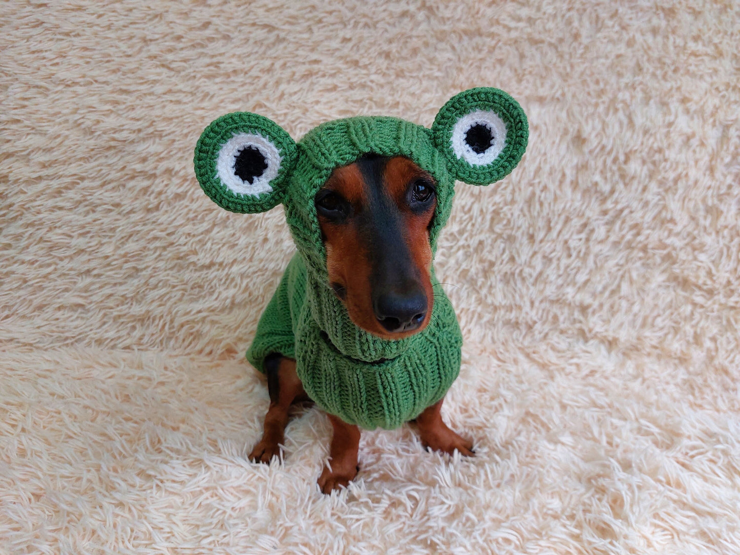 Knitted Frog Dog Costume: Halloween Pet Sweater and Hat Set