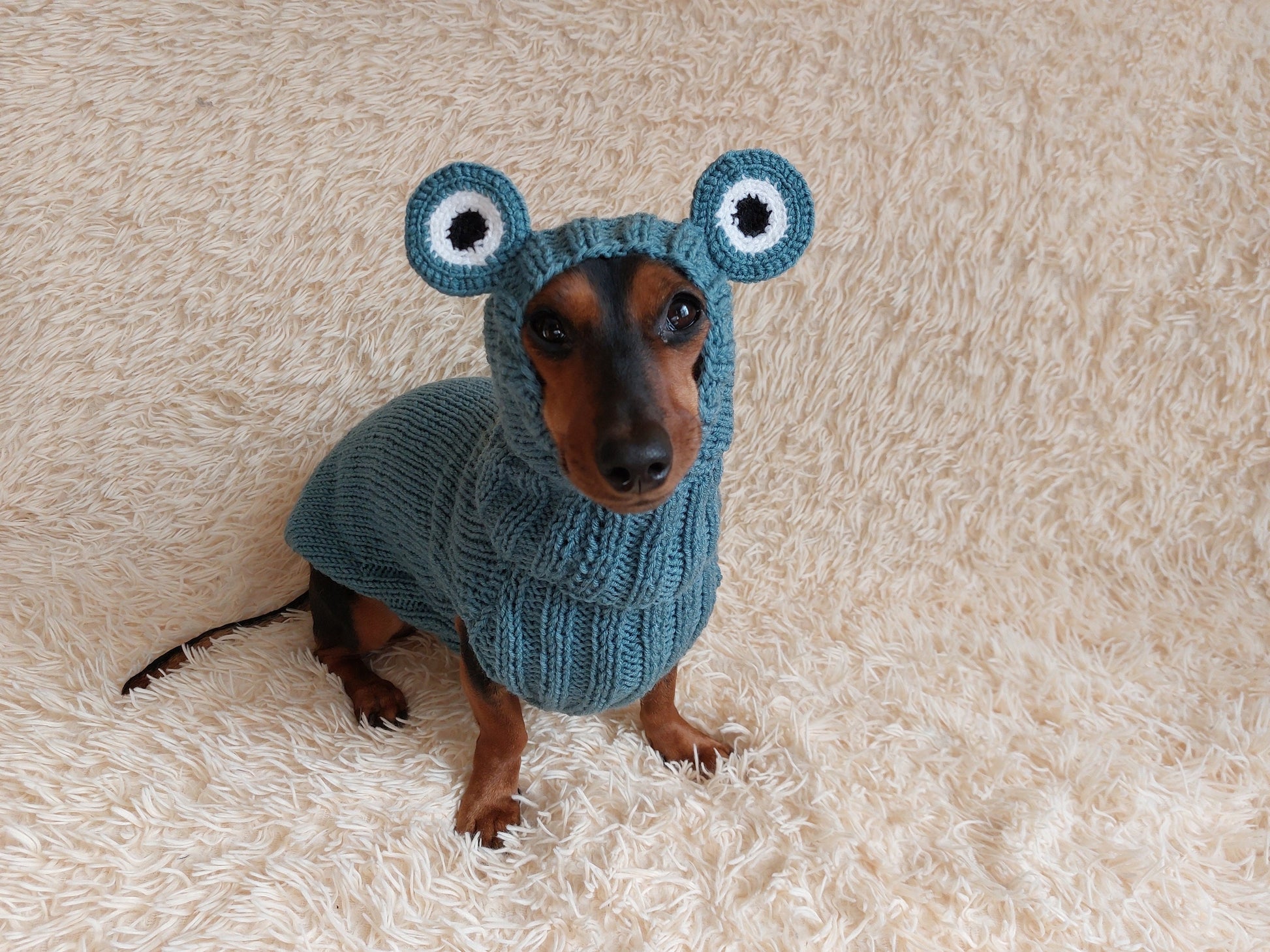Knitted Frog Dog Costume: Halloween Pet Sweater and Hat Set