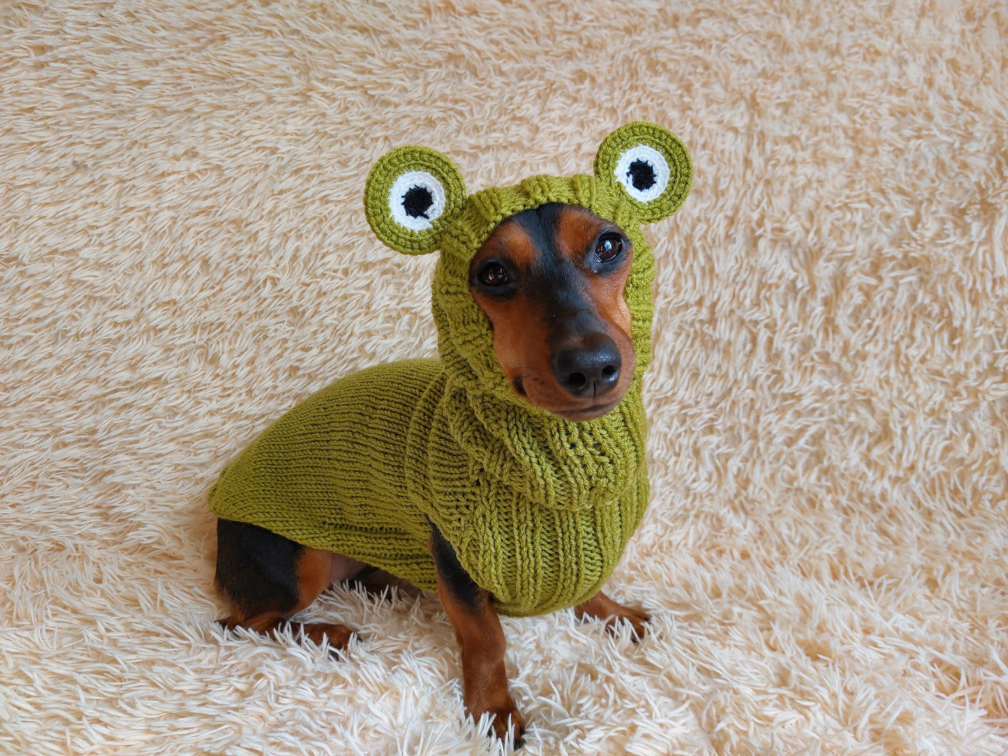 Knitted Frog Dog Costume: Halloween Pet Sweater and Hat Set