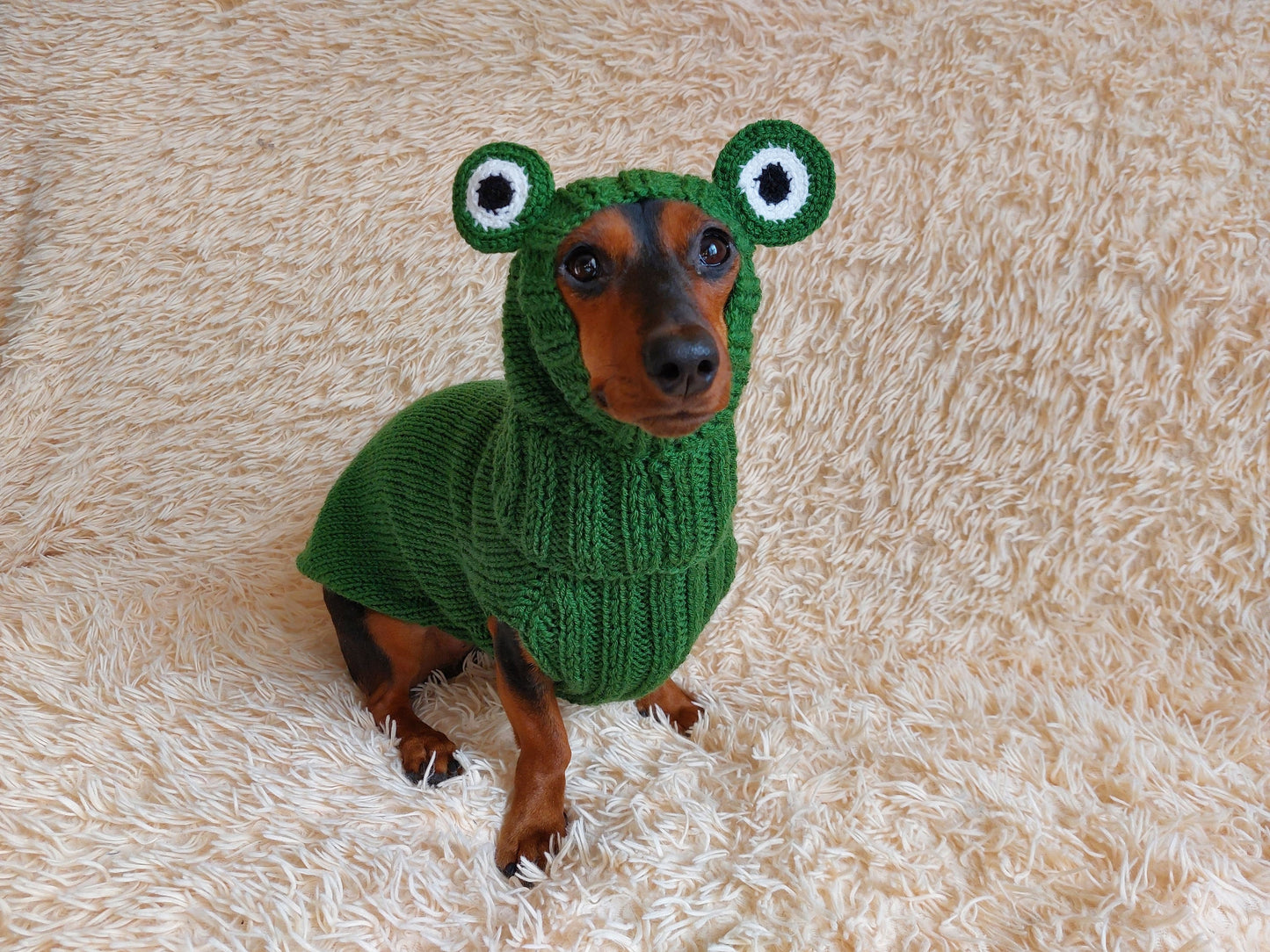 Knitted Frog Dog Costume: Halloween Pet Sweater and Hat Set