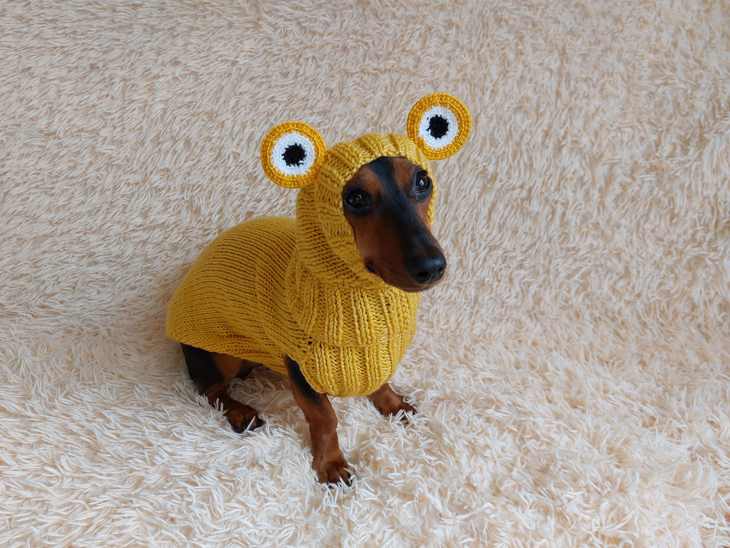 Knitted Frog Dog Costume: Halloween Pet Sweater and Hat Set