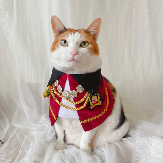 Royal Prince Pet Costume: Cat Dog Count Cape - Halloween Christmas