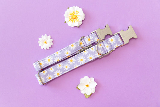 Handmade Lavender Daisies Dog Collar: Silver Hardware, Adjustable