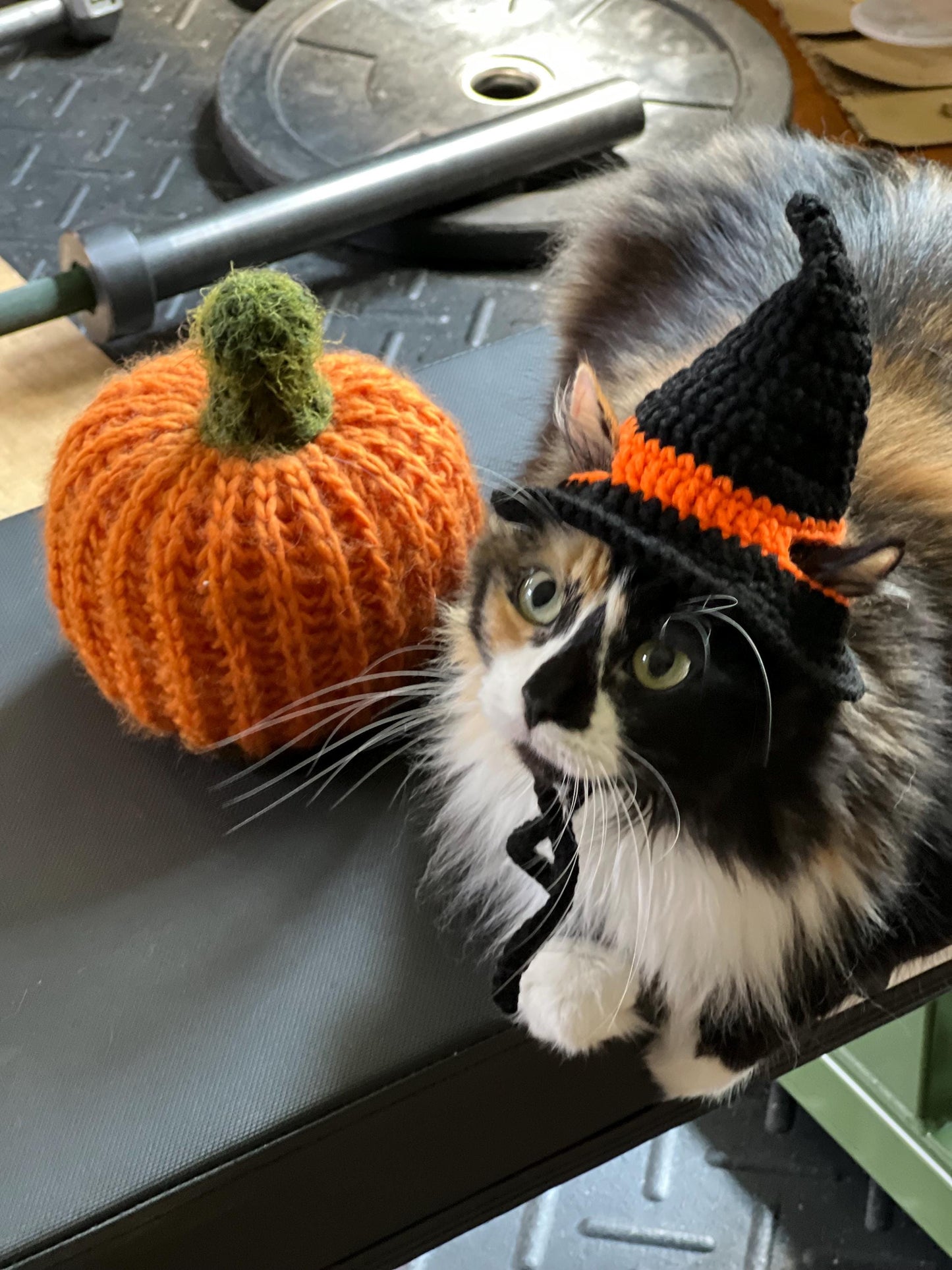 Witch Hat Cat Costumes Cat Accessories Cat Clothings Cat Accessories Cat Supplies Pet Costumes Pet Accessories Pet Clothings Pet Su