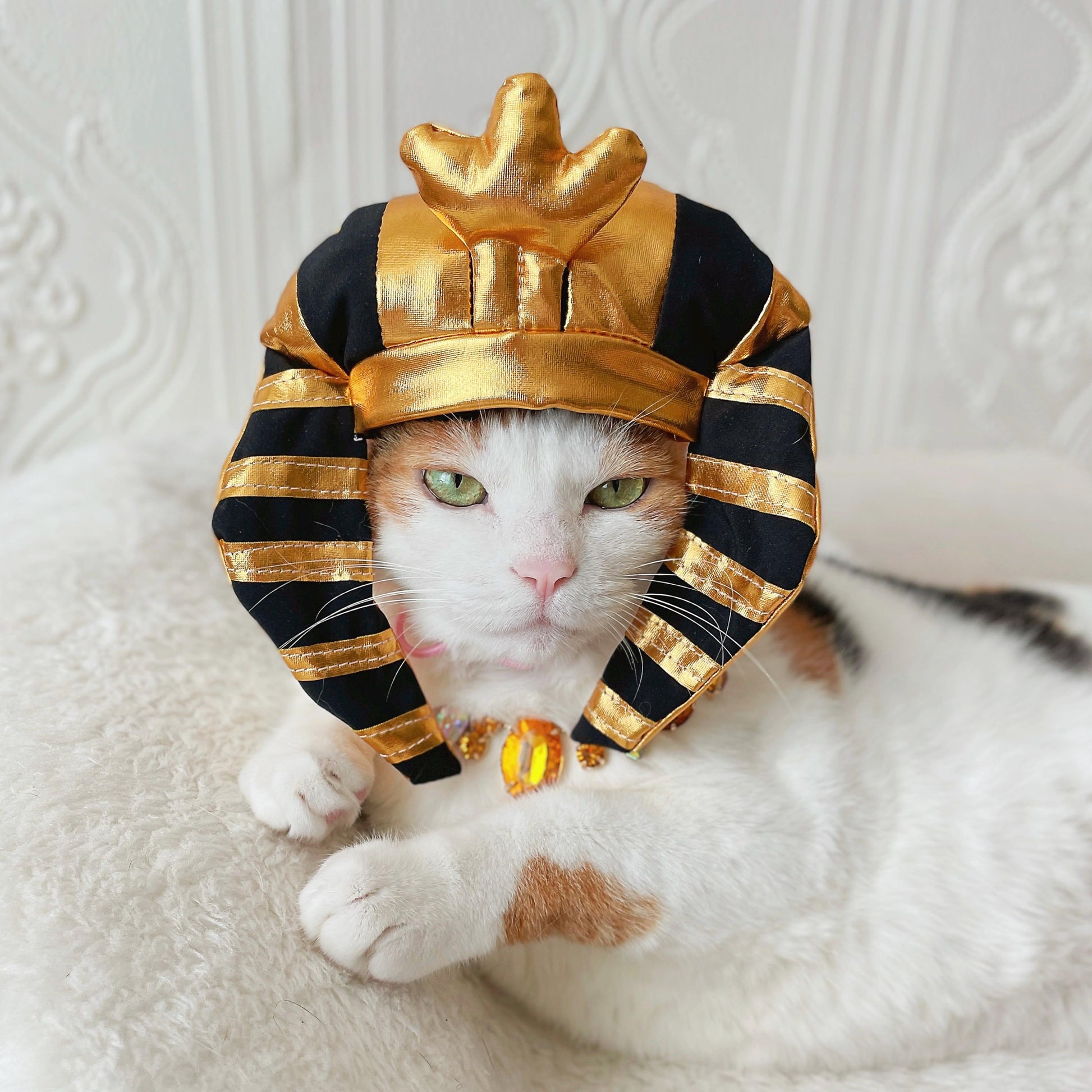 Egyptian King'S Headdress Pharaoh'S Crown Hat for Cat Dog Funny Halloween Costume Photoshoot Birthday Gifts for Pet Tiktok