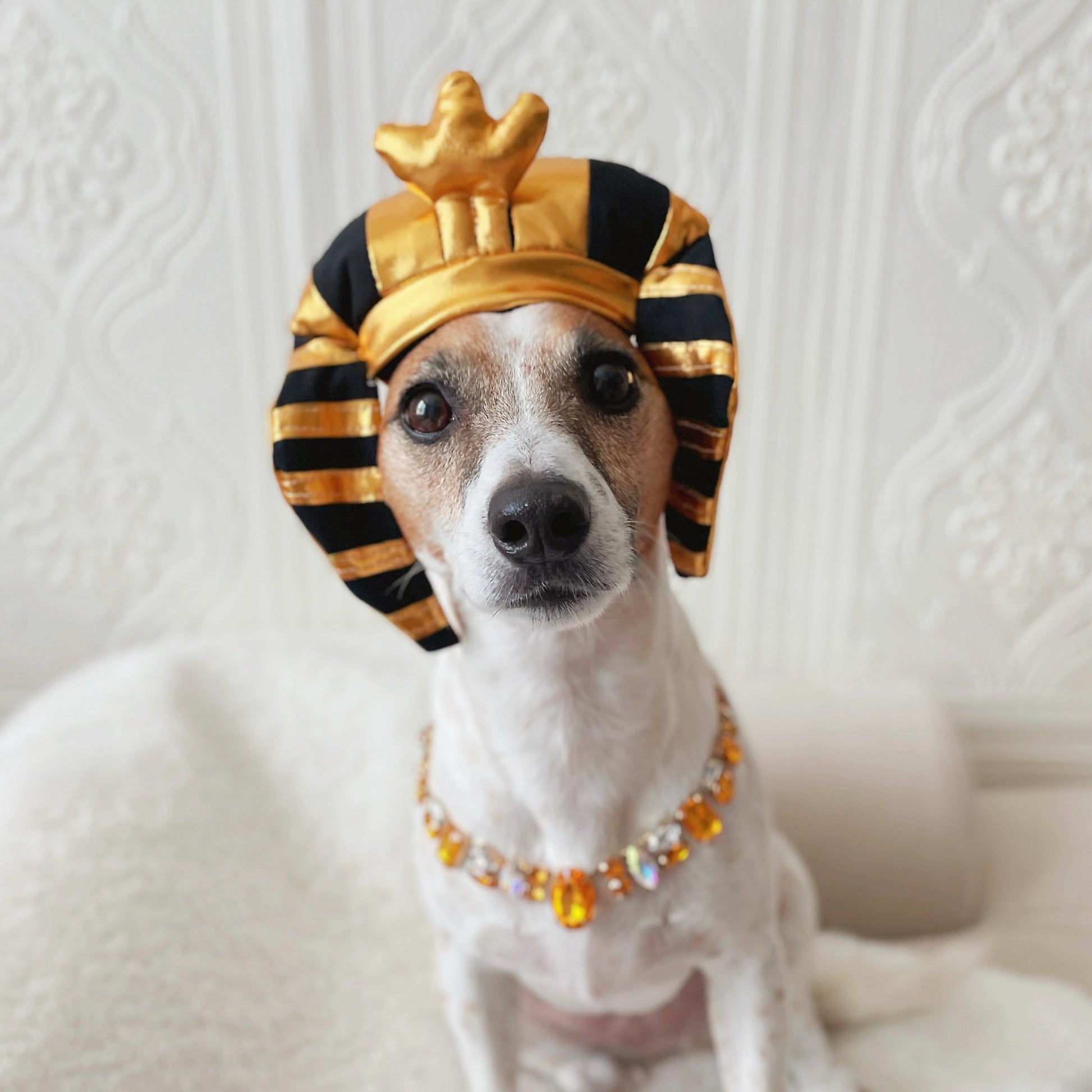 Egyptian King'S Headdress Pharaoh'S Crown Hat for Cat Dog Funny Halloween Costume Photoshoot Birthday Gifts for Pet Tiktok