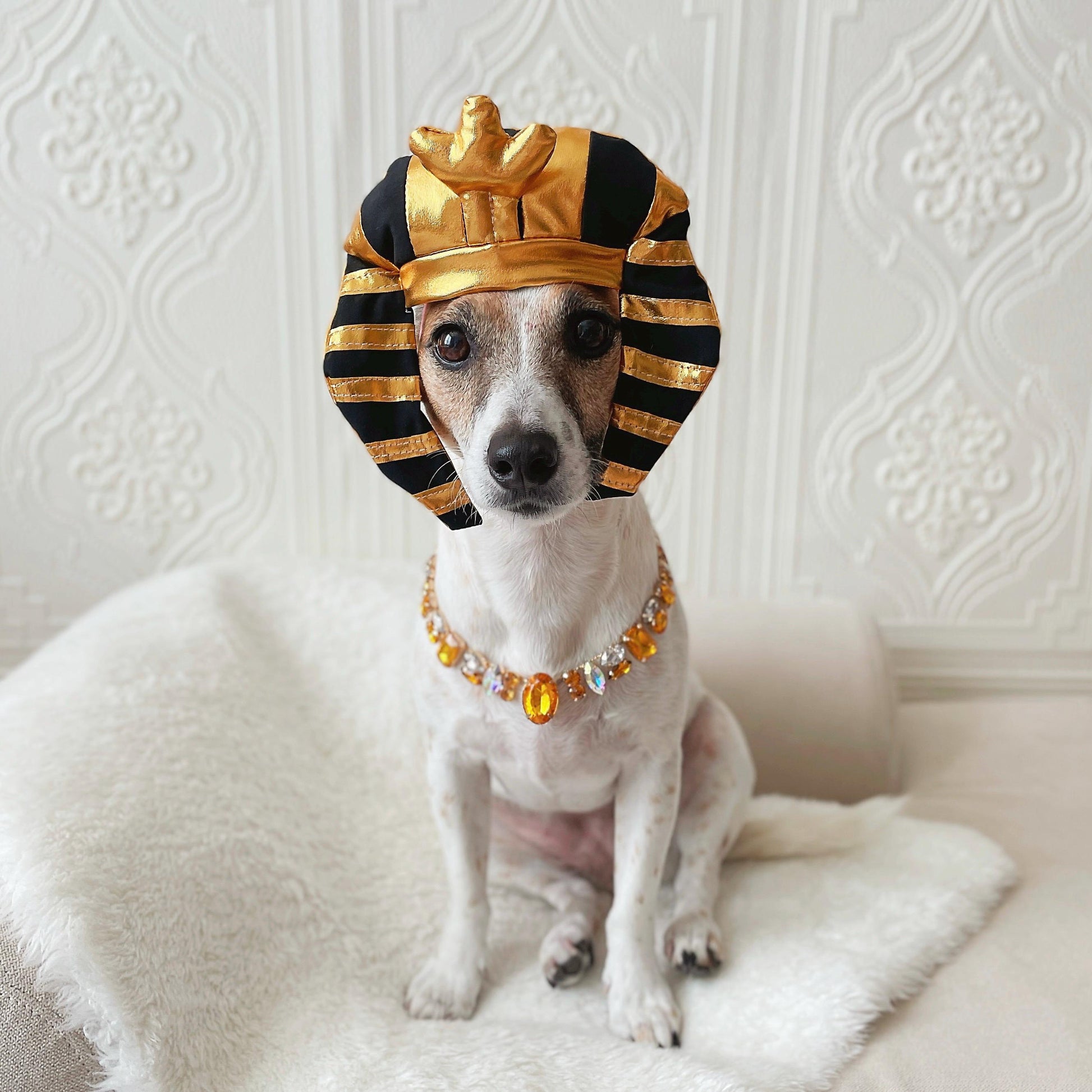 Egyptian King'S Headdress Pharaoh'S Crown Hat for Cat Dog Funny Halloween Costume Photoshoot Birthday Gifts for Pet Tiktok