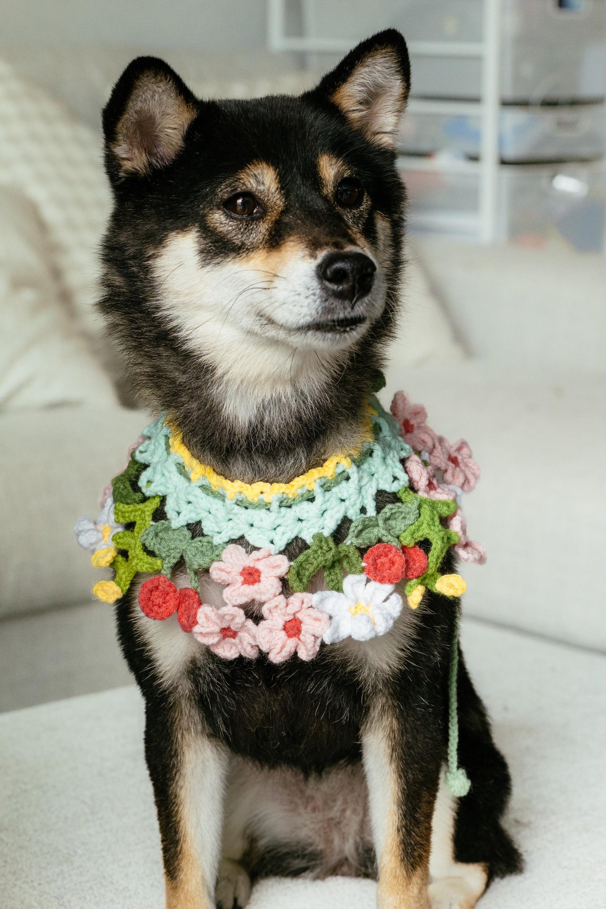 Sakura Bloom Pet Collar – Handmade Crochet Necklace Cutie for Dogs & Cats